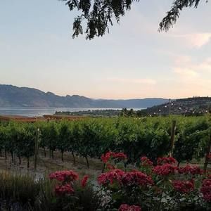 Meet your Posher, Krysten